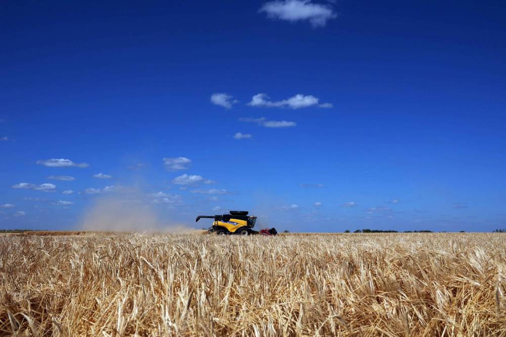 Combines work to harvest barley on the first day of the 2024 harvest at Deerboine Hutterite Colony west of Brandon on Monday. (Tim Smith/The Brandon Sun)