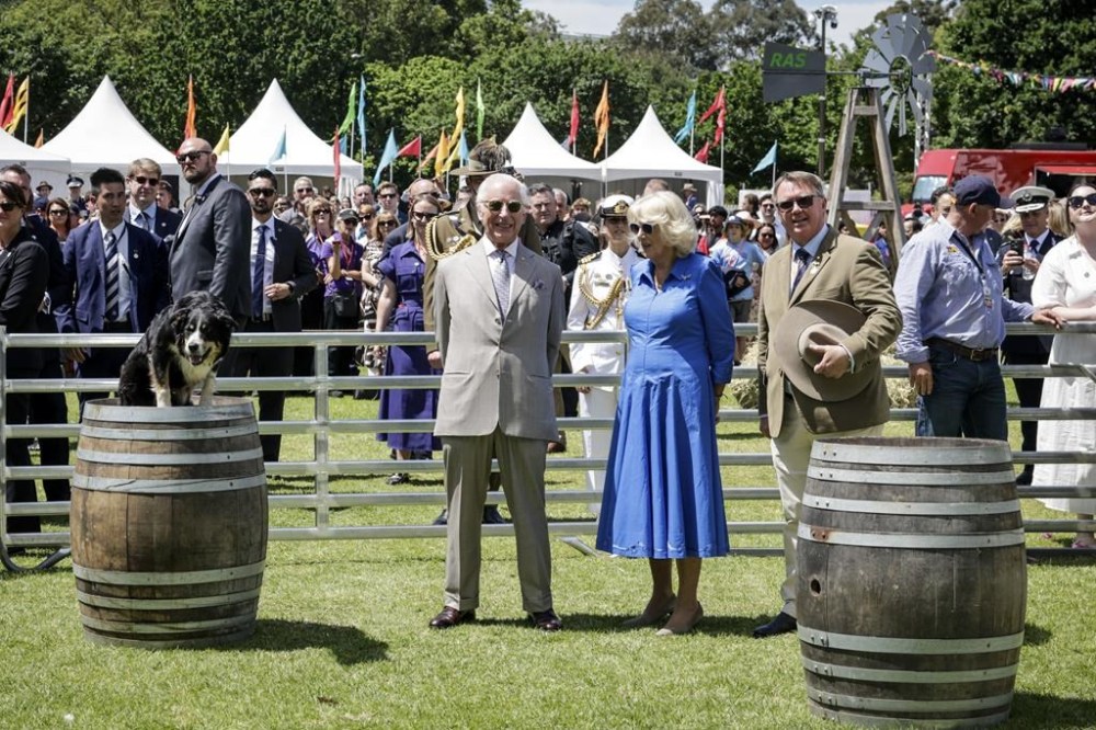 Britain's King Charles III and Queen Camilla view a sheep dog demonstration during the Premier's Community BBQ on Tuesday Oct. 22, 2024 in Sydney, Australia. (Brook Mitchell/Pool Photo via AP)