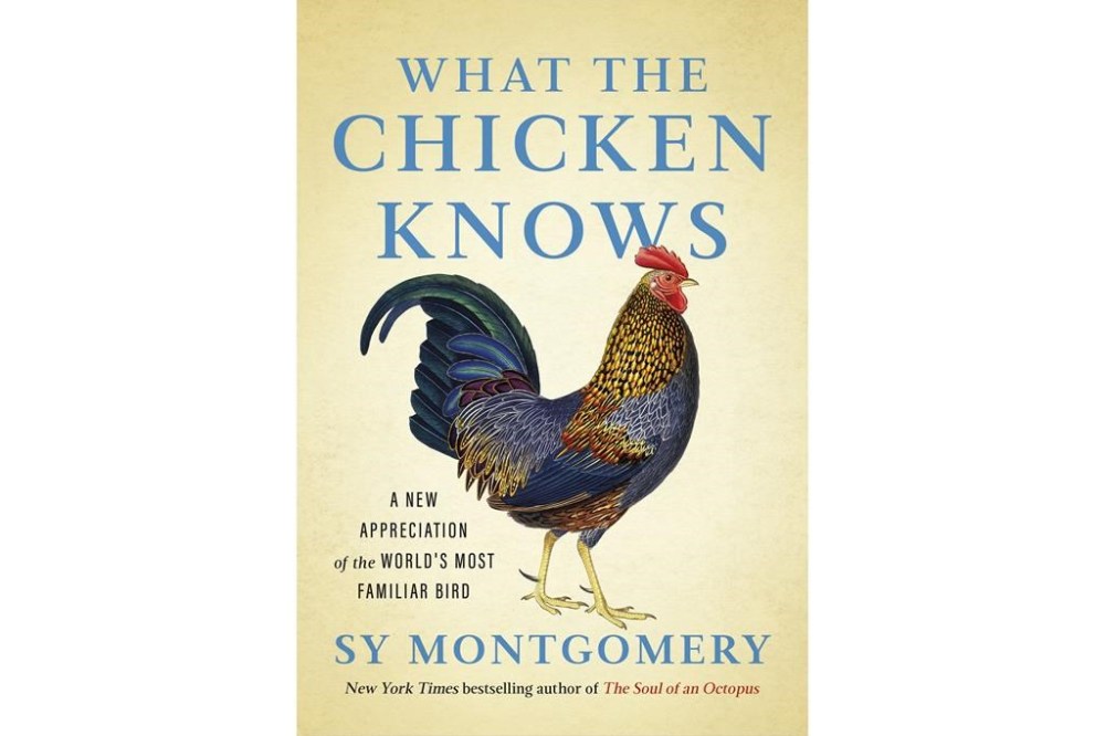 Book Review Sy Montgomery shares ‘What the Chicken Knows’ in new mini