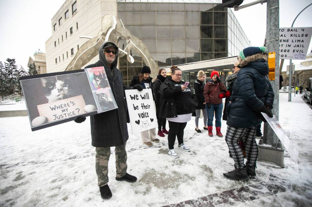 Activists against animal cruelty stand outside of the law courts in Winnipeg with signs during Irene Lima’s bail hearing on Wednesday. (Mikaela MacKenzie/Winnipeg Free Press)
