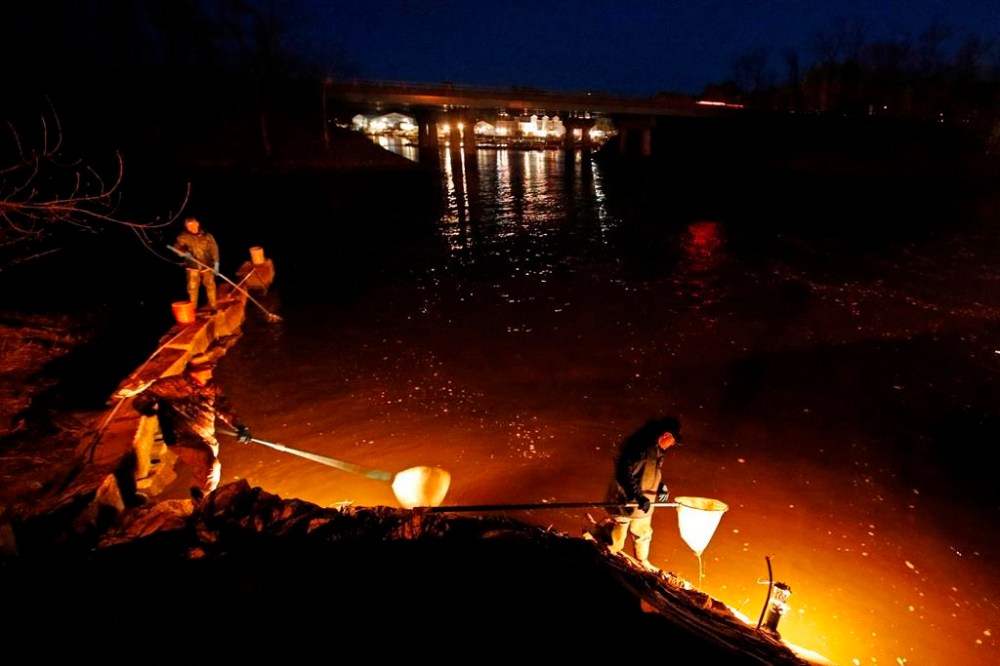 A federal fisheries officer has been suspended for 10 days for arresting and then releasing two Mi'kmaq elver fishers without footwear. In this April 16, 2020 photo, eel fishermen use dip nets while fishing by lantern light in Yarmouth, Maine. THE CANADIAN PRESS/AP/Robert F. Bukaty