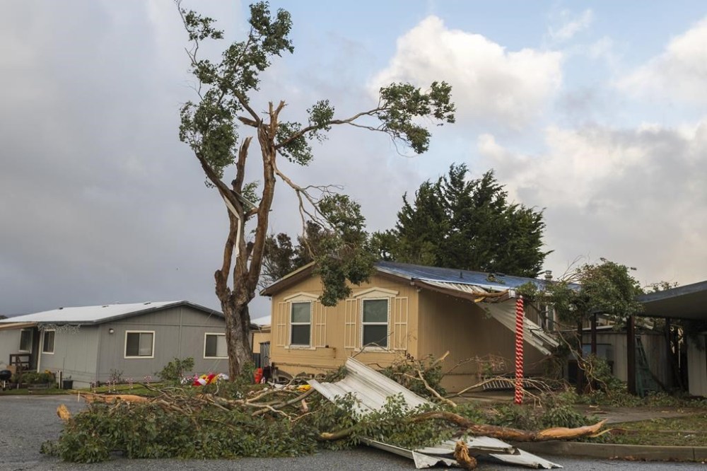 A large tree branch crashed into a garage near Coe Avenue in Seaside, Calif., Saturday, Dec. 14, 2024. (AP Photo/Nic Coury)