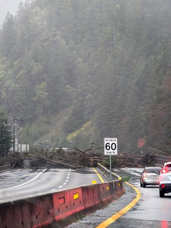 The Sea to Sky Highway linking Vancouver and Whistler, B.C., has been closed in both directions after a mudslide near Lions Bay brought down trees and debris to block the road as shown in this handout image on Saturday Dec. 14, 2024. THE CANADIAN PRESS/HO-Michal Aibin*MANDATORY CREDI*