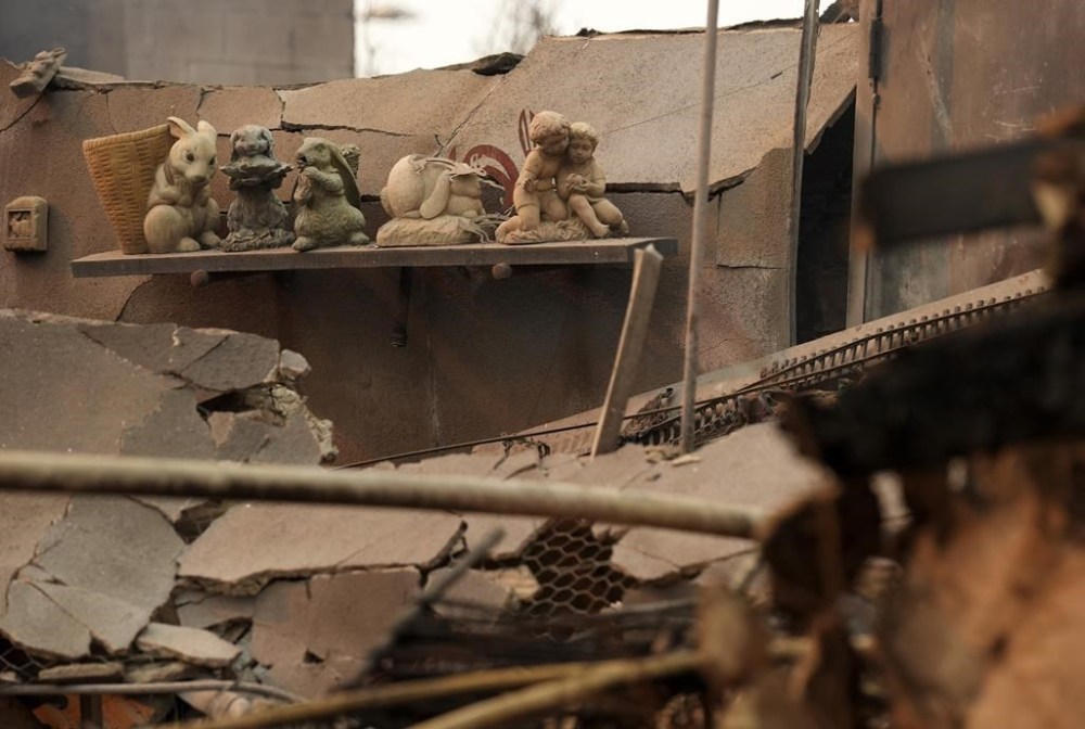 Charred bunny sculptures sit on a shelf amid debris inside the destroyed Bunny Museum, Thursday, Jan. 9, 2025, in the Altadena section of Pasadena, Calif. (AP Photo/Chris Pizzello)
