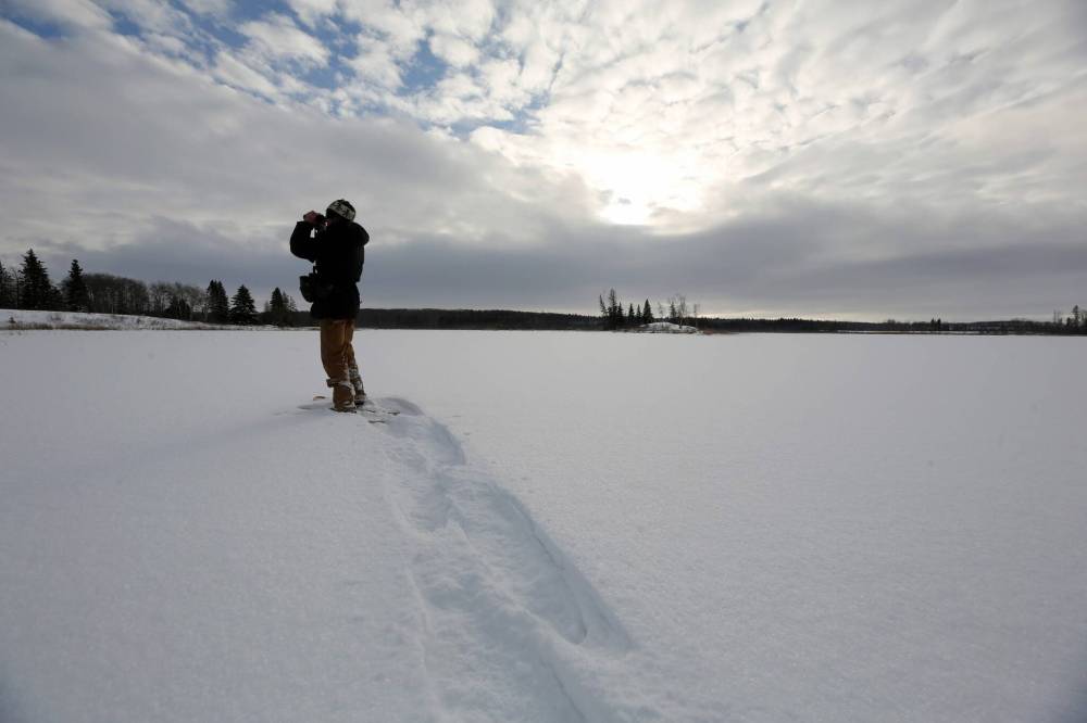 Ken Kingdon is looking for birds at the old Lakewood Hills golf course in Onanole. Kilometres of snowshoeing netted him about 15 sightings, which he will add to his tally for the area’s Christmas Bird Count this year. (Connor McDowell/Brandon Sun)
