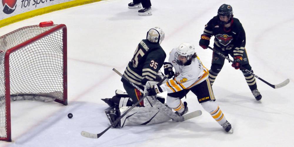 Playoff MVP Jaxon Jacobson (9) looks on as Brandon Wheat Kings teammate Josh McGregor's shot from the point gets though Winnipeg Wild goalie Jacob Armstrong during the league final at J&G Homes Arena. (Brandon Sun files)
