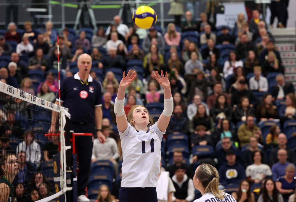 Carly Thomson of the Brandon University Bobcats sets the ball during university volleyball action against the University of Fraser Valley Cascades at the BU Healthy Living Centre on Friday evening. (Tim Smith/The Brandon Sun)