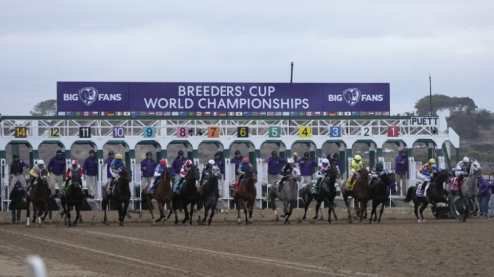 Riders compete in the Breeders' Cup Dirt Mile horse race in Del Mar, Calif., Saturday, Nov. 2, 2024. THE CANADIAN PRESS/AP-Gregory Bull