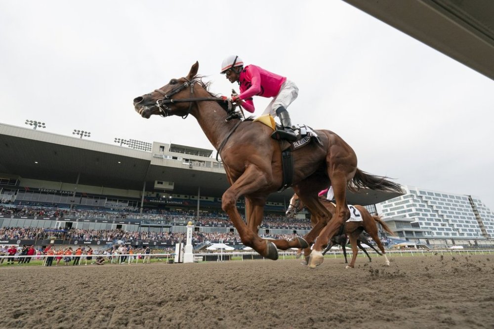Paramount Prince, with Patrick Husbands aboard, crosses the finish line to win the 164th running of the King’s Plate horse race in Toronto on Sunday, August 20, 2023. THE CANADIAN PRESS/Spencer Colby