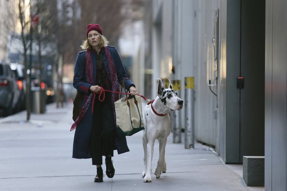 This image released by Bleecker Street shows Naomi Watts in a scene from