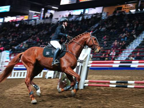 Dana Hryshko competes in the show-jumping event at the Westoba Place arena during the Royal Manitoba Winter Fair in Brandon on Monday. (Weichen Zhang/The Brandon Sun)
