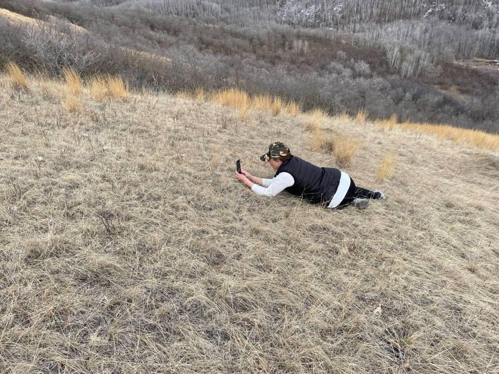 Roblin-area resident Jo-Anne Hamilton takes a photo of a crocus on a hillside. (Courtesy John Skinner)