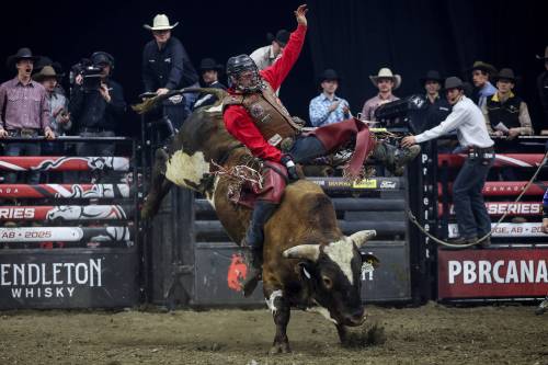 Jake Gardner rides Broken Pearl during a Professional Bull Riding event. The top-ranked rider on the PBR Canada circuit is in today’s field set to compete at Westoba Place. (Photo courtesy Covy Moore)