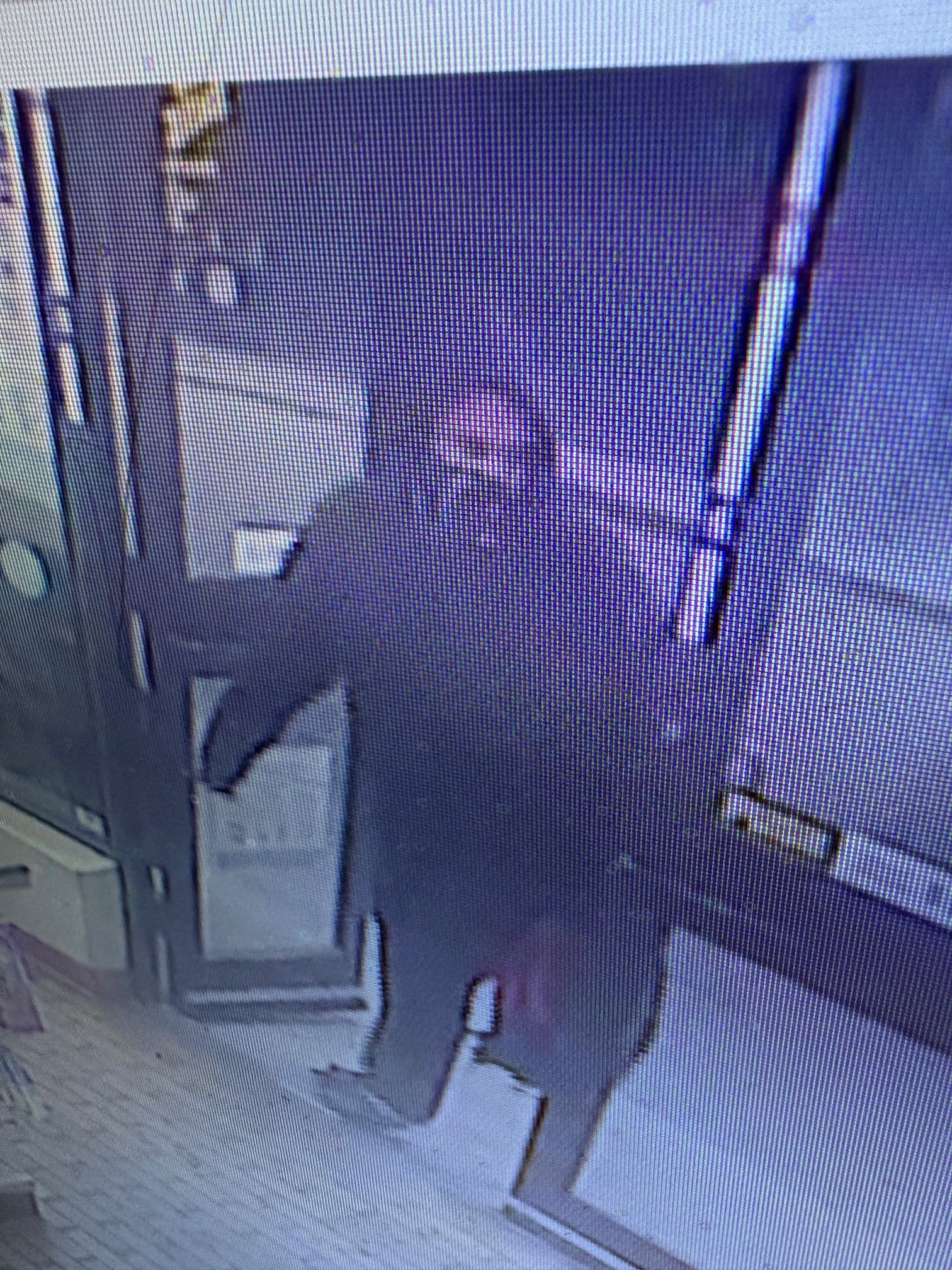 Dauphin RCMP search for suspects in armed robbery – Brandon Sun
