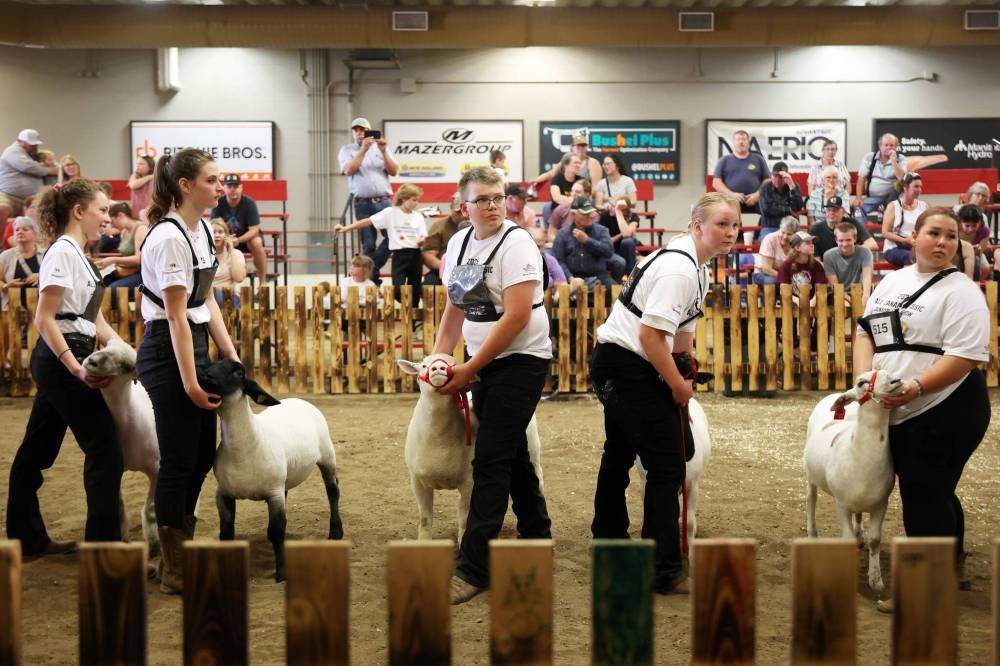 Kids show their sheep and await judging during the 2025 All Canada Sheep Classic at the Keystone Centre in Brandon on Thursday. Sheep producers from across the country are in Brandon for the show, which continues today. (Tim Smith/The Brandon Sun)