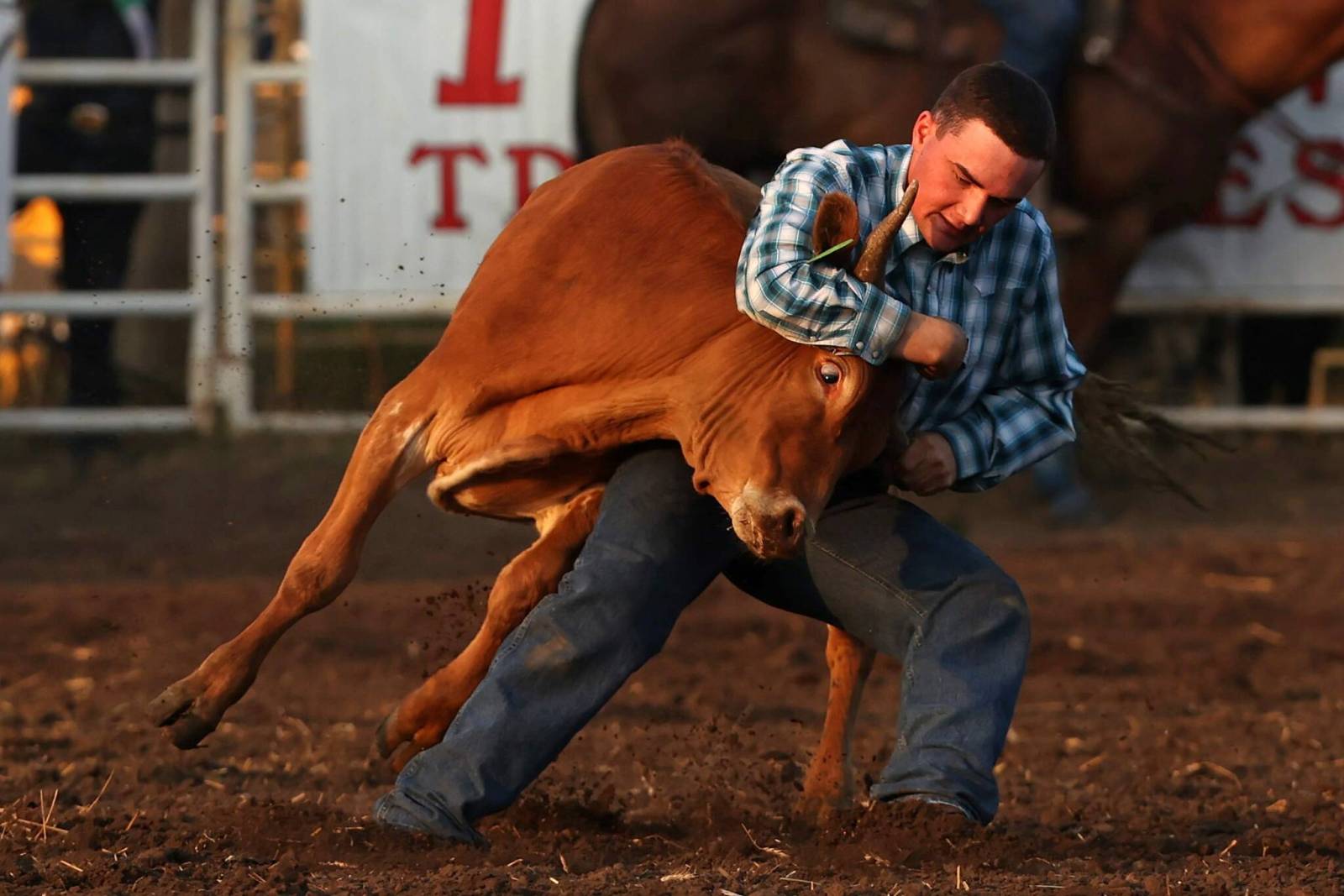 Reunion rodeo returns to Austin – Brandon Sun