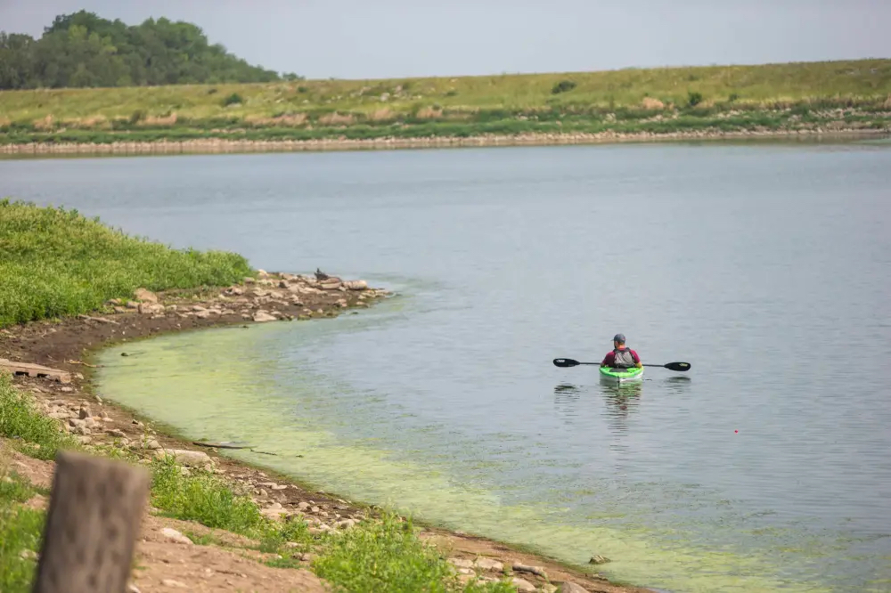 Blue-green algae can cause diarrhea, stomach cramps, skin rashes and eye irritation. (Mikaela MacKenzie/Winnipeg Free Press files)