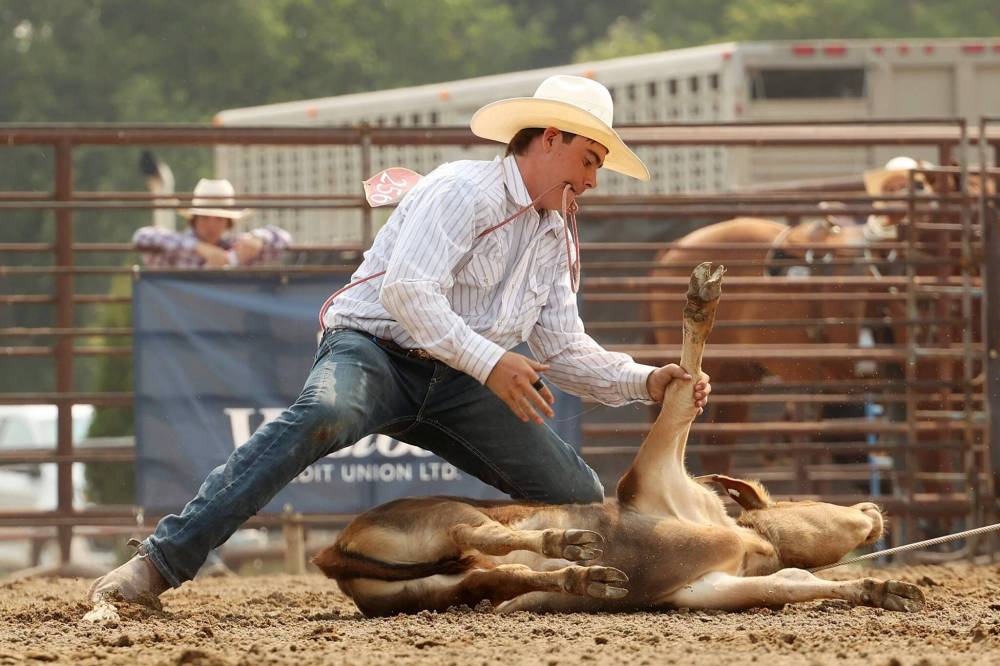 Kage Sandilands of Esterhazy, Sask., ties the legs of a calf after roping it in the high school tie-down roping event at the 2025 Canadian High School Rodeo Finals at the Keystone Centre in Brandon on Thursday. The finals run until Sunday with competitors from across the country. (Tim Smith/The Brandon Sun)