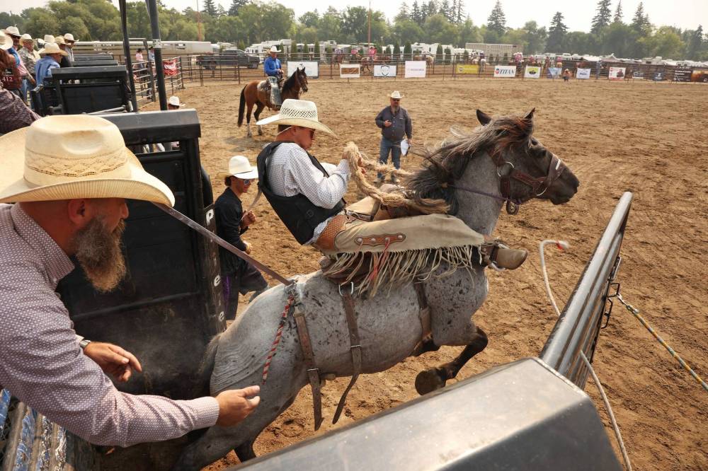 Sawyer Hutchinson of Grasmere, B.C., explodes out of chute atop his drawn horse in the high school saddle bronc event on Thursday. The finals run until Sunday with competitors from across the country. (Tim Smith/The Brandon Sun)
(Tim Smith/The Brandon Sun)