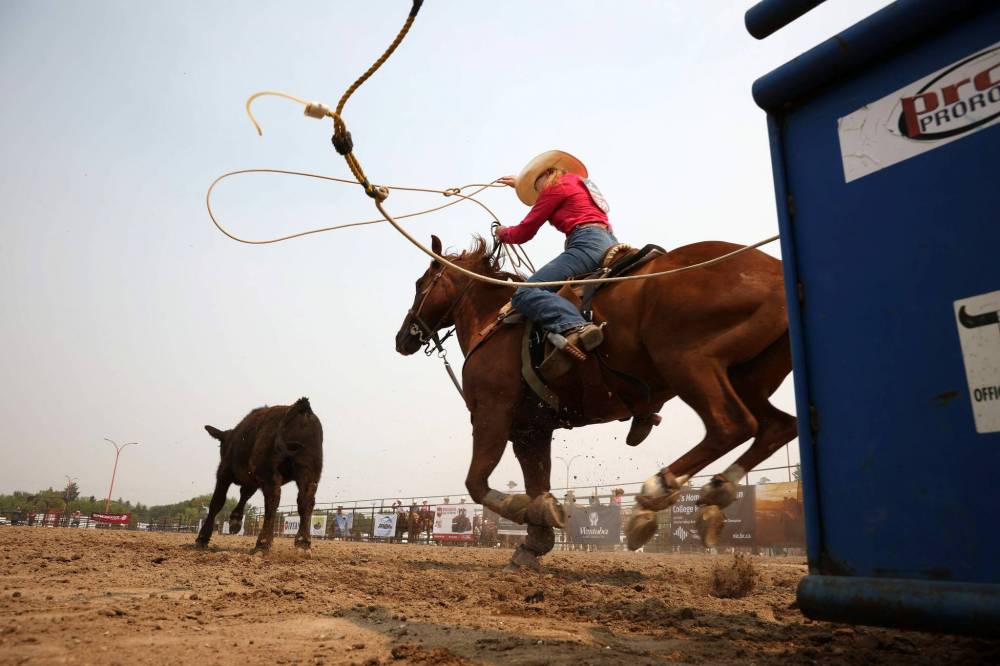 Mya Roysum of Wilcox, Sask., bursts out of the gate to rope a calf in the high school breakaway roping event. (Tim Smith/The Brandon Sun)