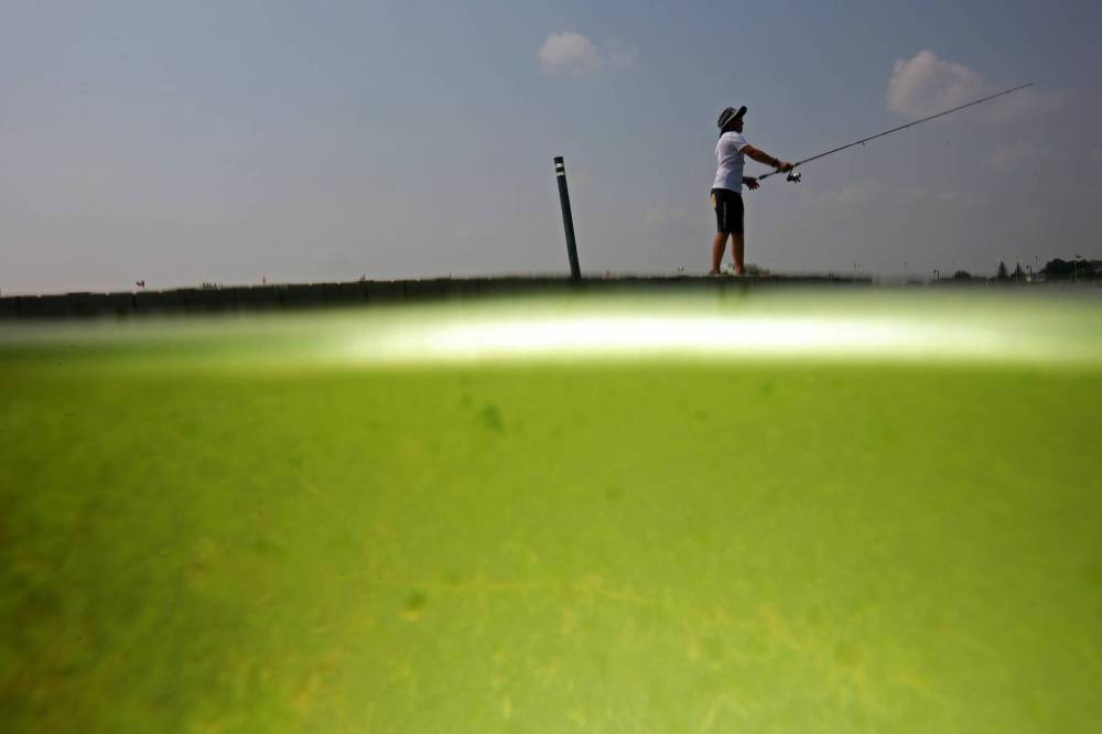 Algae blooms are seen in Minnedosa Lake as Kirill Holm of Germany fishes from the boat launch dock on a hot Friday afternoon. Minnedosa Lake is one of seven Manitoba lakes for which algae advisories were issued ahead of long weekend. (Tim Smith/The Brandon Sun)
