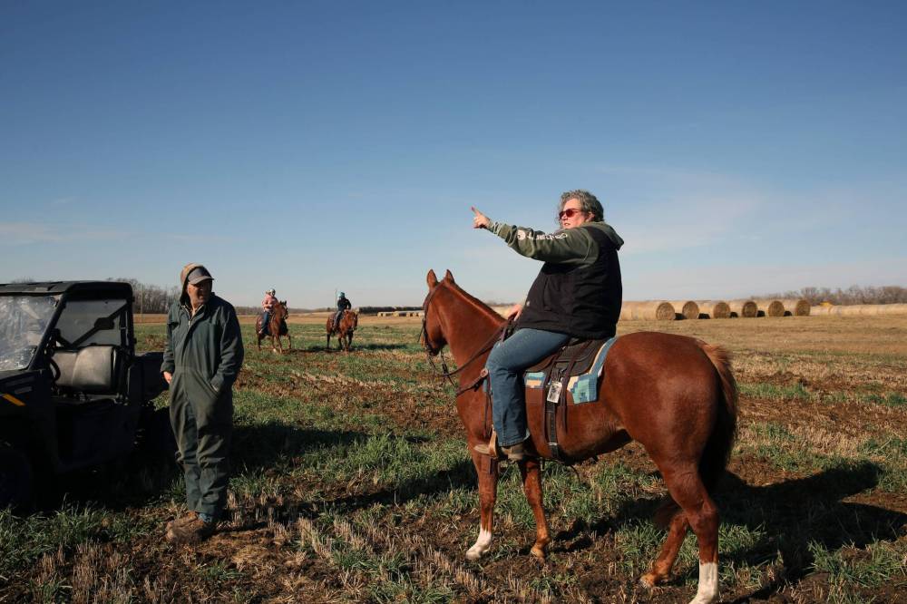 Curtis Gerow is seen last year on his family cattle farm near Souris, along with his partner Pamela How. Gerow is one of many cattle farmers in Manitoba adjusting to a dry year that will see the market impacted by rising costs of feed. (Connor McDowell/Brandon Sun)