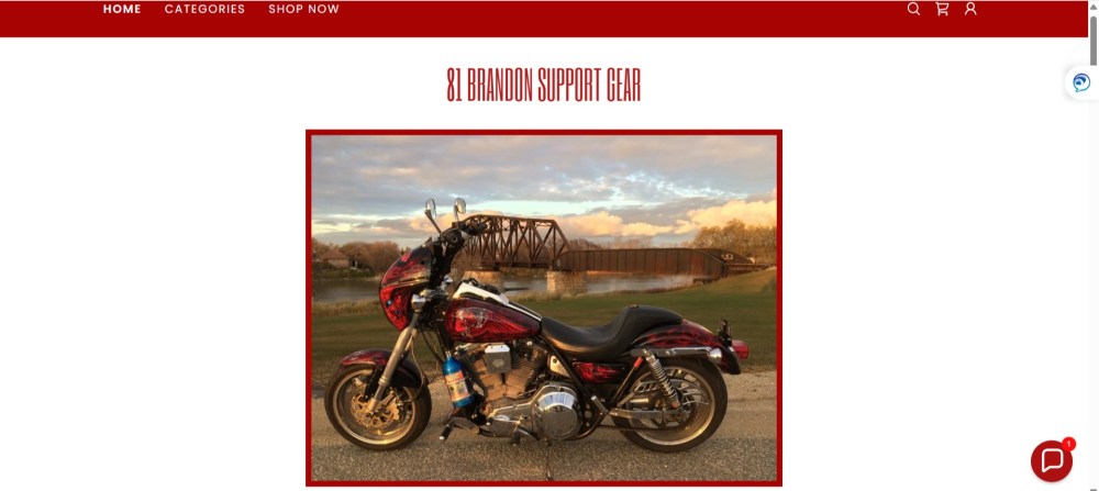 A screen shot of the Hells Angels 81 Brandon website.