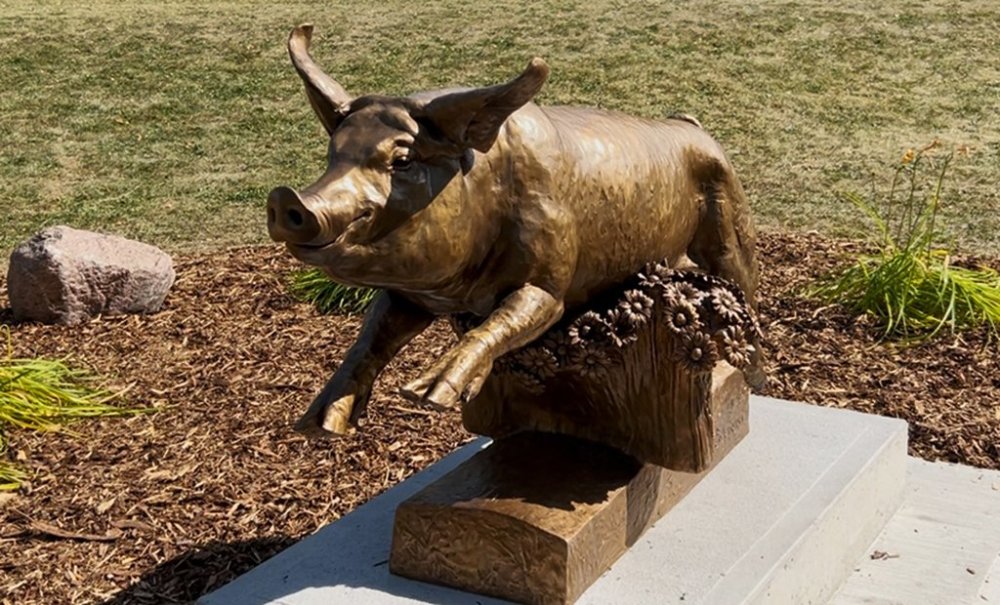 A sculpture of Francis the Pig is shown after it was unveiled in Red Deer, Alta. on Friday, Aug. 29, 2025. THE CANADIAN PRESS/Fakiha Baig