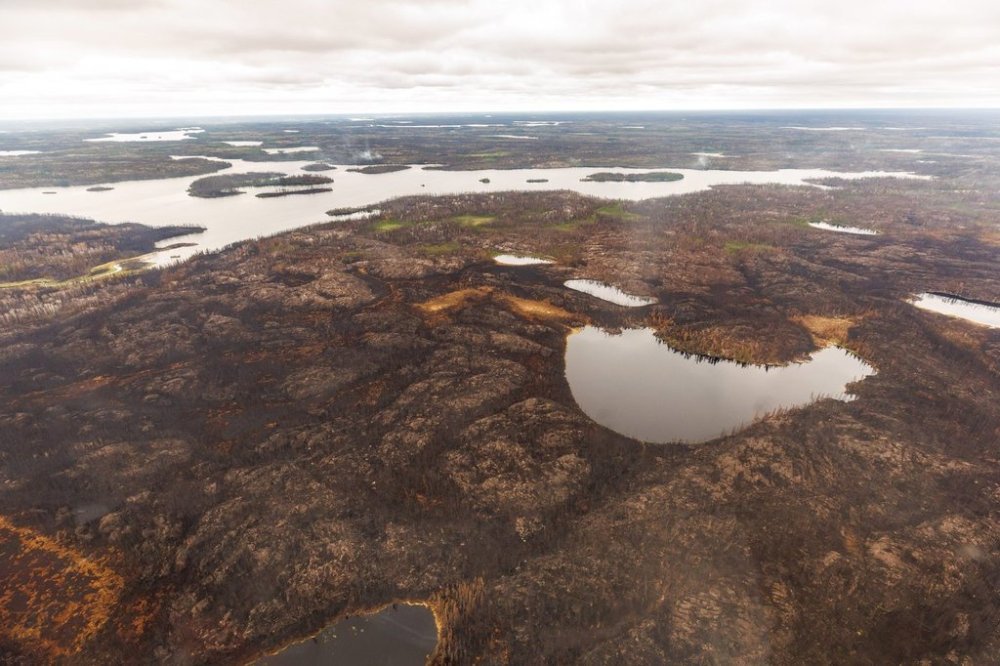 Trees burned by wildfires in northern Manitoba are shown during a helicopter tour in the surrounding area of Flin Flon, Man., on Thursday, June 12, 2025. THE CANADIAN PRESS/Mike Deal-Pool