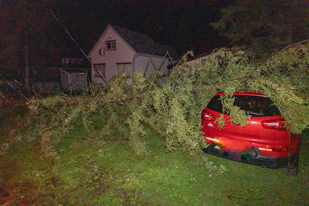 Heavy winds brought down trees and damaged hydro lines, cutting power to homes in Wasagaming on Monday evening. (Supplied)