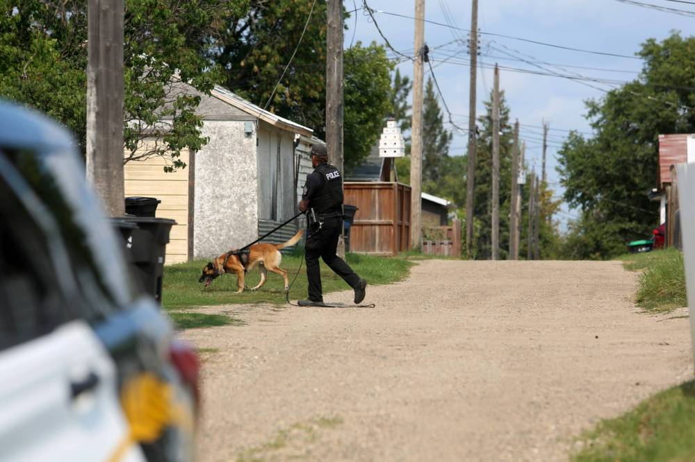 Cst. Adam Philpott and K9 Zeus were deployed to track a suspect from Victoria Avenue last year after a woman was stabbed in the head. (Connor McDowell/Brandon Sun file)