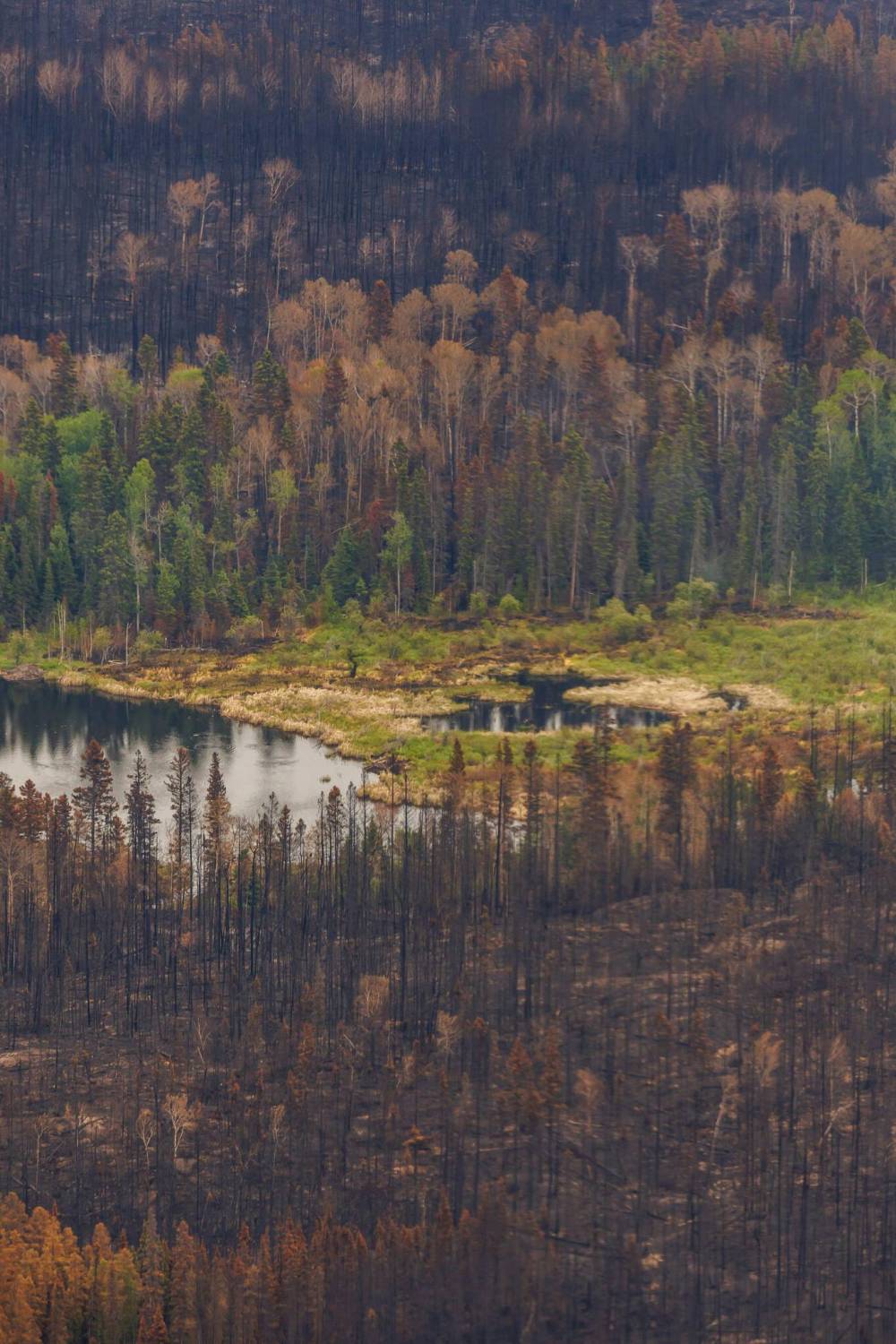 Damage from wildfire conditions around Flin Flon is seen from a helicopter as Premier Wab Kinew travelled to Flin Flon and Thompson in June. (Mike Deal/Winnipeg Free Press files)