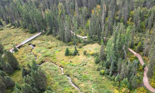 An aerial view of the Boreal Trail in Riding Mountain National Park. (Submitted)