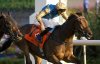 Jockey Faleh Bughenaim guides Silawi (Ireland) to victory in the Grade (I) $750,000 dollar Canadian International at Woodbine Racetrack, in Toronto in a Saturday, Oct. 4, 2025, handout photo. THE CANADIAN PRESS/Handout - Woodbine Entertainment, Michael Burns, (Mandatory Credit)