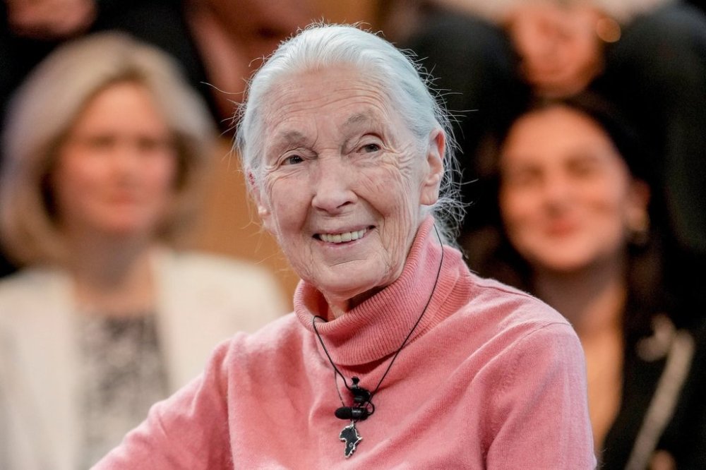 FILE - English primatologist and anthropologist Jane Goodall speaks on a panel