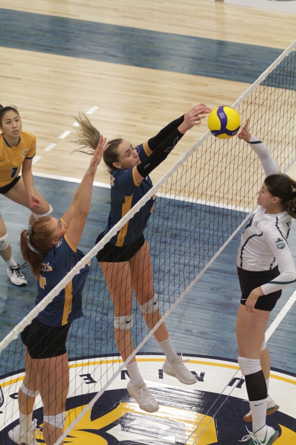Players like former Brandon University Bobcat Taryn Hannah can avoid sitting out a year to play when they transfer schools with the new U Sports rule announced this week. (Brandon Sun files)