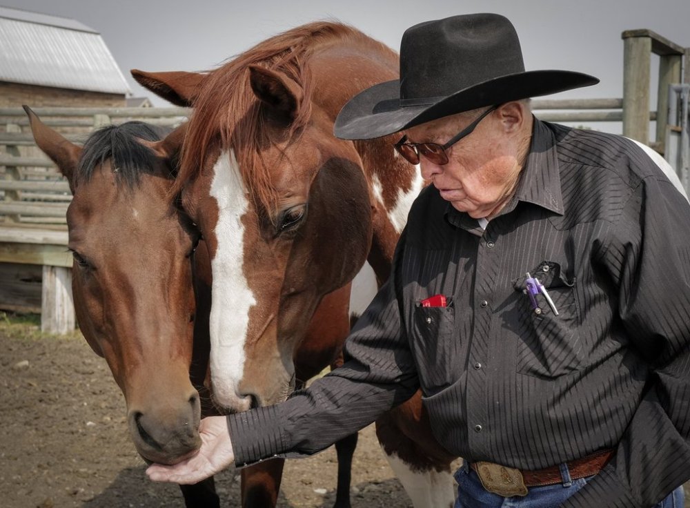 Alberta film producer and stuntman John Scott hand feeds two of his horses on his 5000 acre ranch near Longview, Alta., Tuesday, Sept. 2, 2025.THE CANADIAN PRESS/Jeff McIntosh
