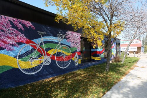 The Sekine bicycle mural. Cherry blossoms and ribbons decorate the bicycle mural in an homage to Japanese and Indigenous culture. (Connor McDowell/The Brandon Sun)