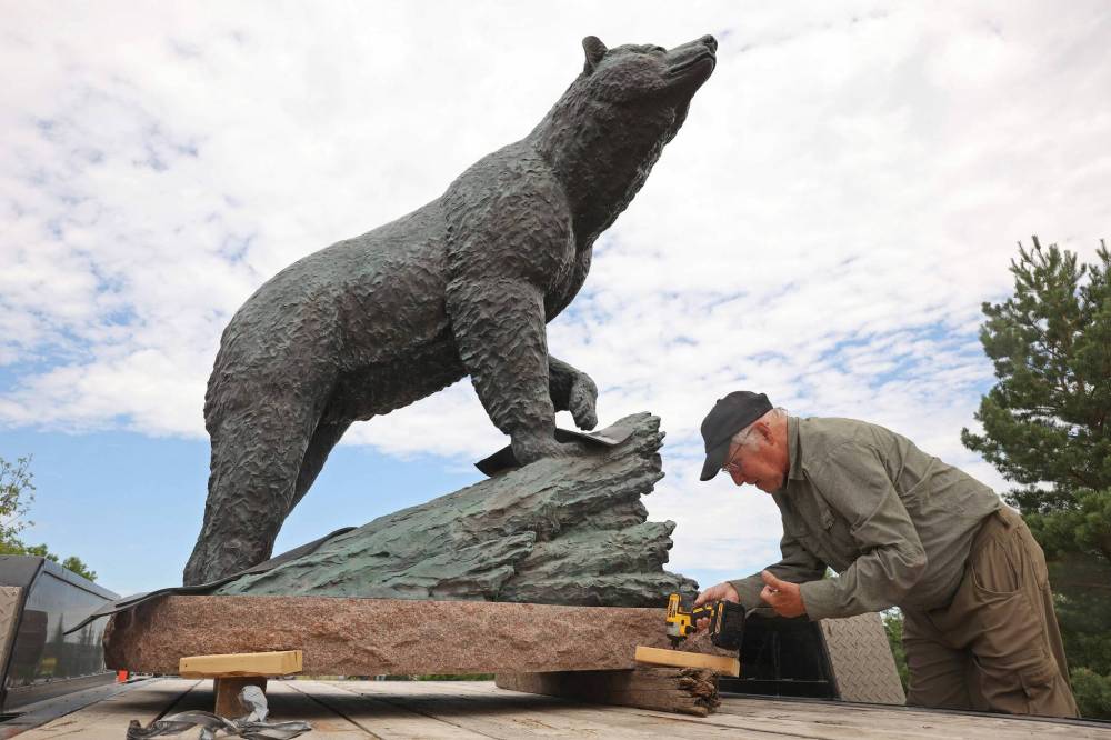 Renowned bronze sculptor Peter Sawatzky helps install his sculpture “Curious Black Bear” at the Riverbank Discovery Centre in July. A grand opening and ribbon-cutting for the Peter Sawatzky Sculpture Garden runs from 2 p.m. to 5 p.m. today at the Riverbank Discovery Centre. (Tim Smith/The Brandon Sun files)