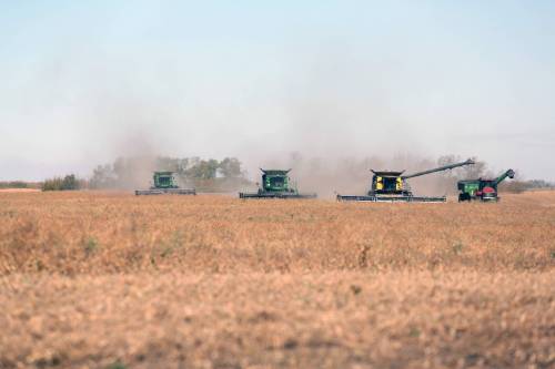 Combines hit the field south of Hamiota on Friday to begin harvesting 120 acres of soybean. The crop will be sold as a fundraiser for community improvement projects. (Photos by Connor McDowell/The Brandon Sun)