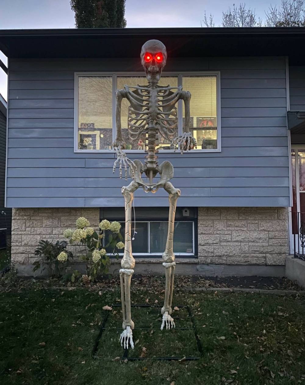 Mokus, a 10-foot-tall skeleton, was stolen from Ashley Haarmann and Les Mitchell’s front yard in southwest Brandon in broad daylight on Oct. 14. (Submitted)
