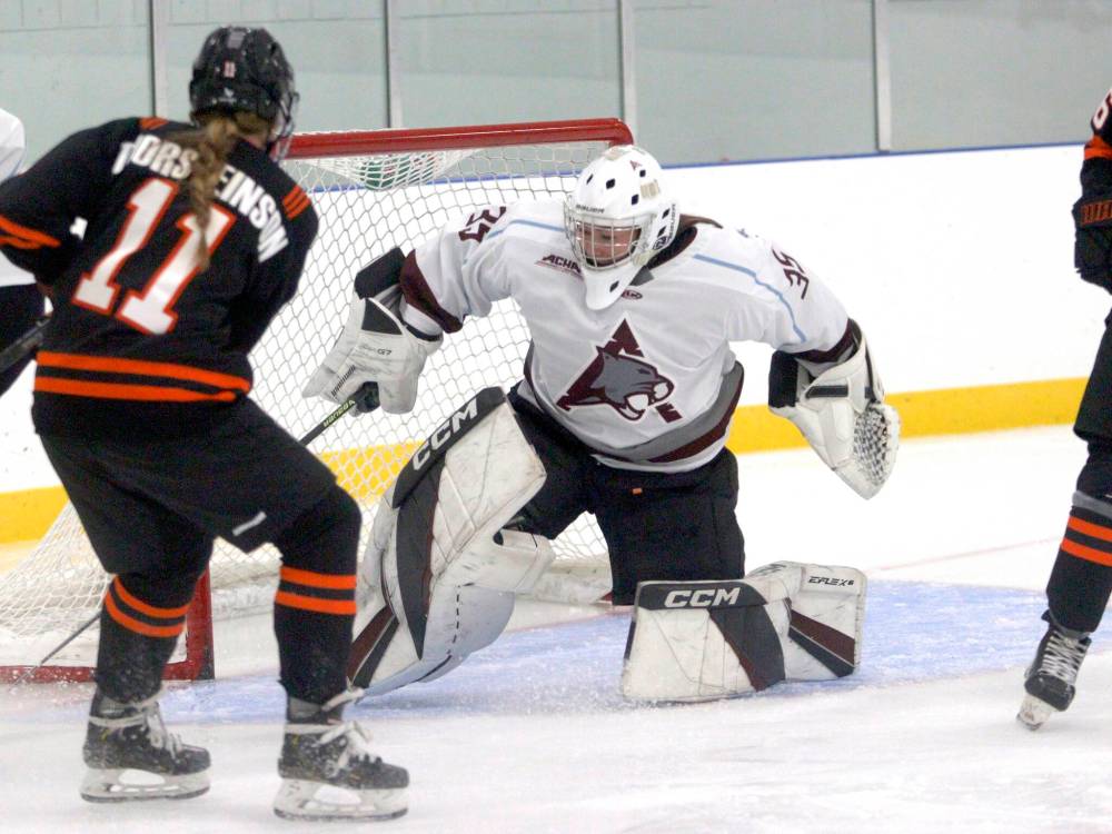 Assiniboine College's Rachel Halldorson (35) pokes the puck away from a Jimmies forward during third period action. (Massimo De Luca-Taronno/The Brandon Sun)