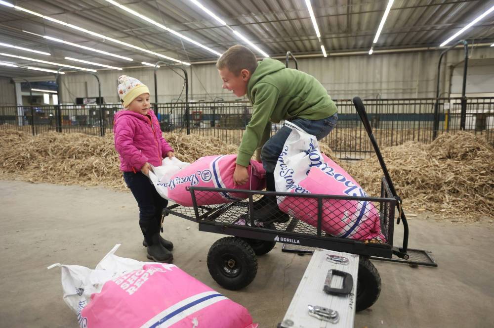 Hard-working siblings Marren and Elijah Ginter with BASKM Land & Cattle of Kelwood unload cattle feed at their parents' stalls in the Keystone Centre on Monday ahead of Manitoba Ag Ex. The all-breed cattle show starts Wednesday and runs until Saturday. (Tim Smith/The Brandon Sun)