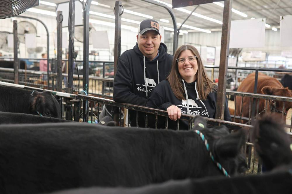 Cody and Kendra Nolan with Nolan Cattle Co. of Cypress River with some of their black angus cattle during day one of Manitoba Ag Ex, the all-breed cattle show that runs until Saturday.