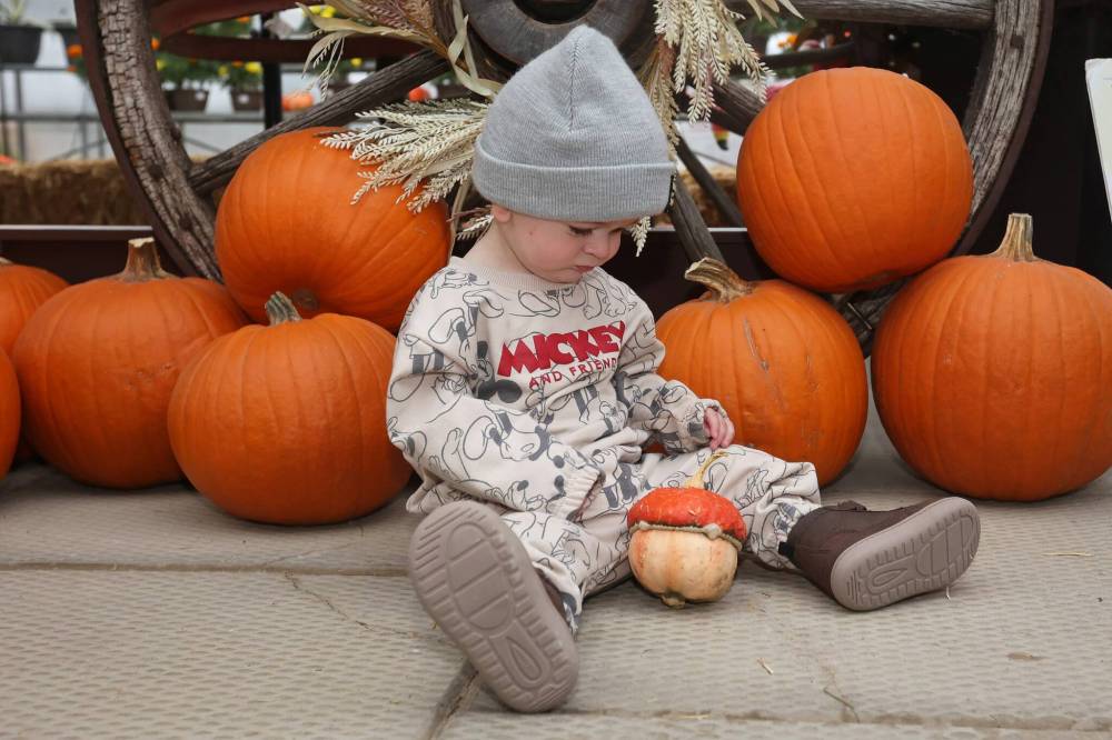 Ten-month-old Briggs Slack checks out the pumpkins at the Haunted Greenhouse: Boo For A Cause! at Alternative Choice Garden Centre in Brandon on Thursday.