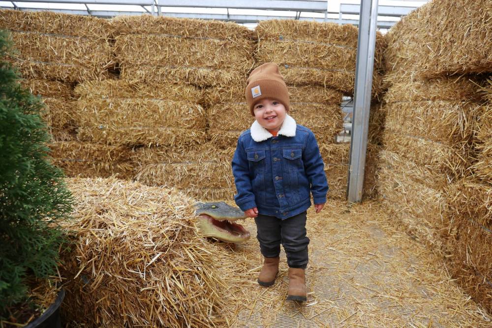 Colter English, almost two, explores the straw-bale maze at The Green Spot Home & Garden along with family on Thursday morning.