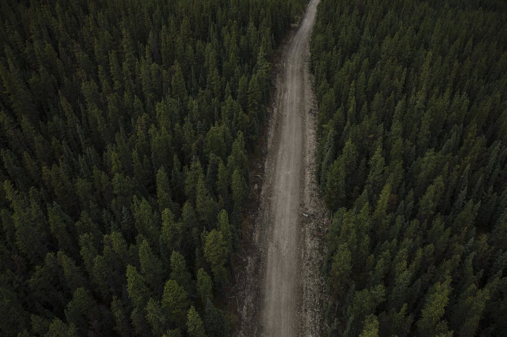 Alberta government pays out $95 million to end another coal policy lawsuit