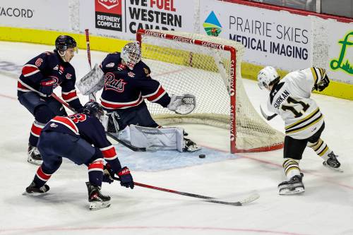 Brandon Wheat Kings rookie forward Chase Surkan (11) scores as Regina Pats goaltender Marek Schlenker (35), defenceman Reese Hamilton (6) and forward Zach Moore (18) look on during Western Hockey League action at Brandt Centre on Friday. (Keith Hershmiller Photography)
                                Dec. 5, 2025