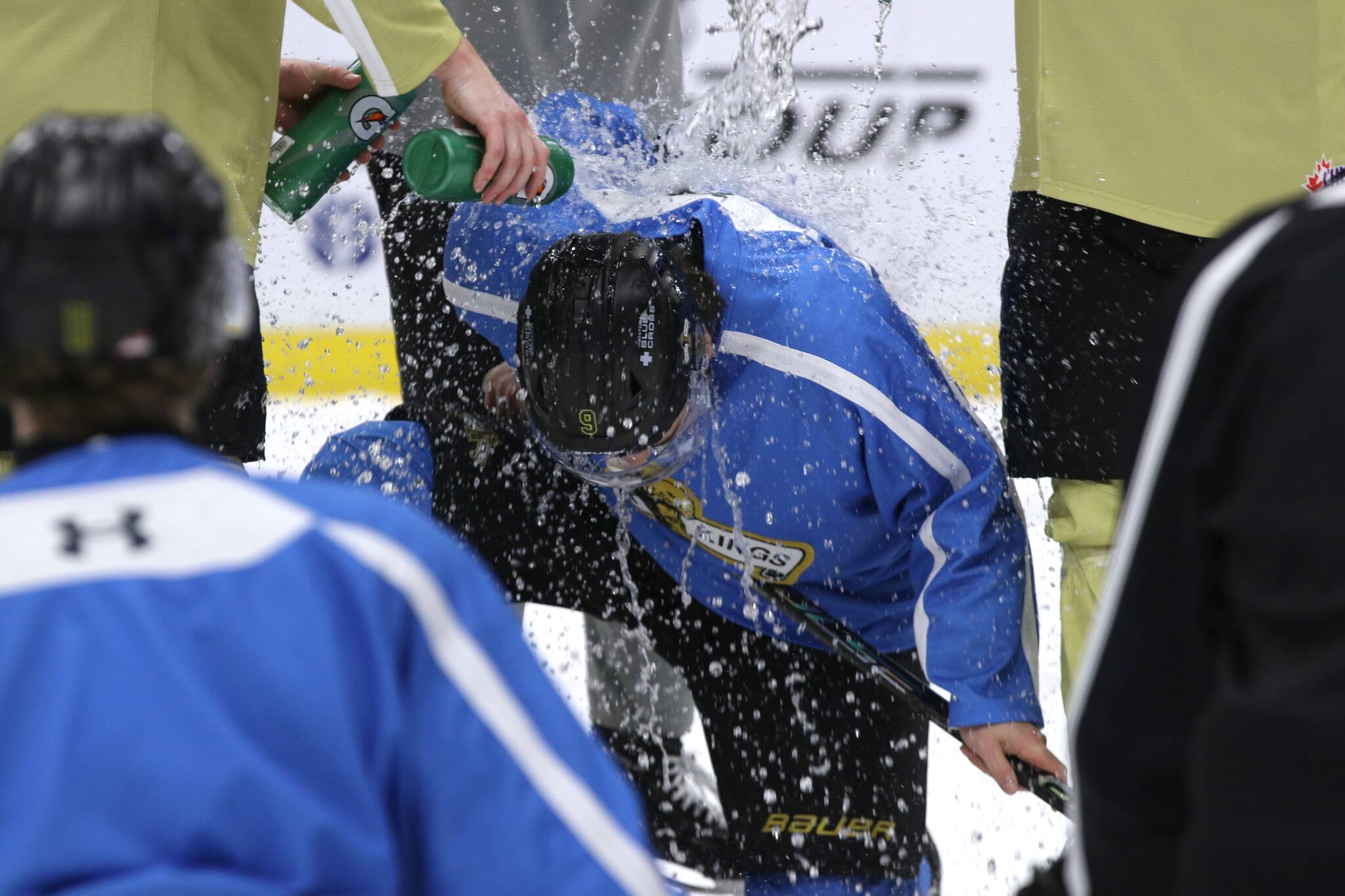 Wheat Kings eager to see teddys fly