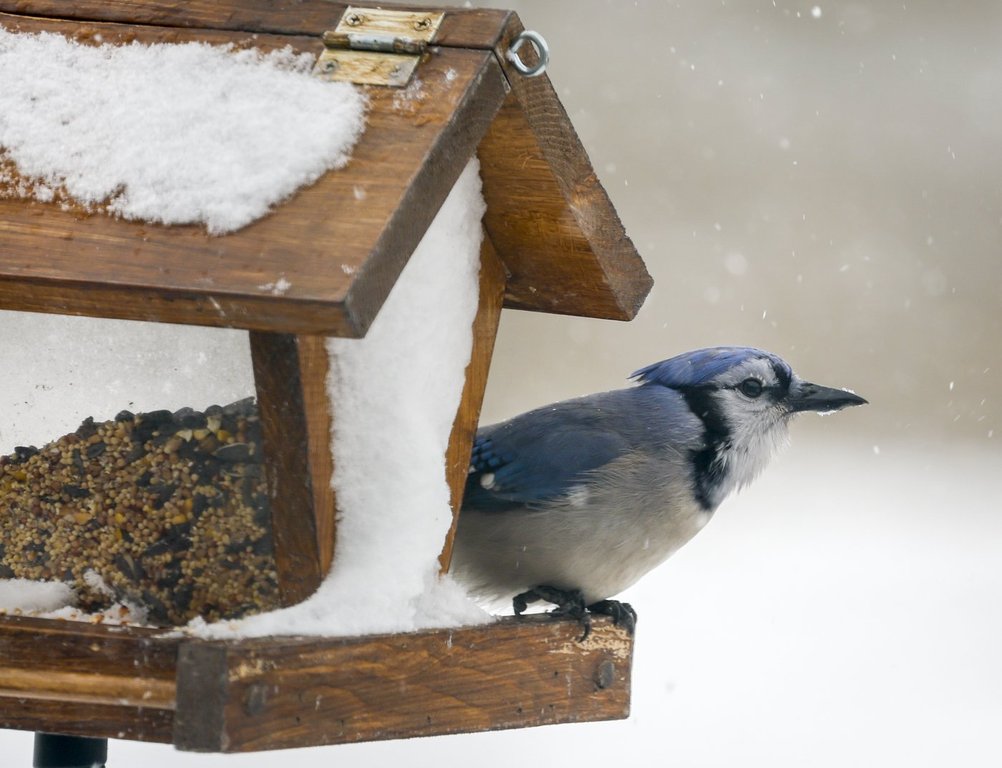 About 20 weather warnings in effect across Canada as rain, snow, cold hammer country